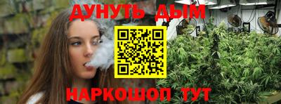индика Северобайкальск