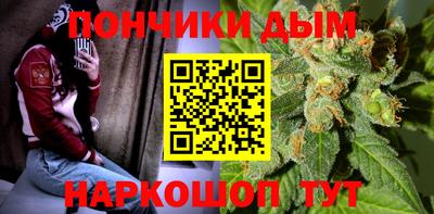 Альфа ПВП Сланцы