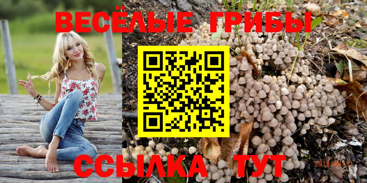 Псилоцибиновые грибы мицелий  Вход с VPN  Соликамск 